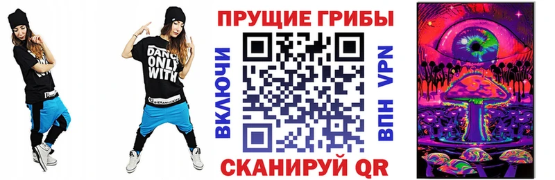 Псилоцибиновые грибы Psilocybe  Коммунар 