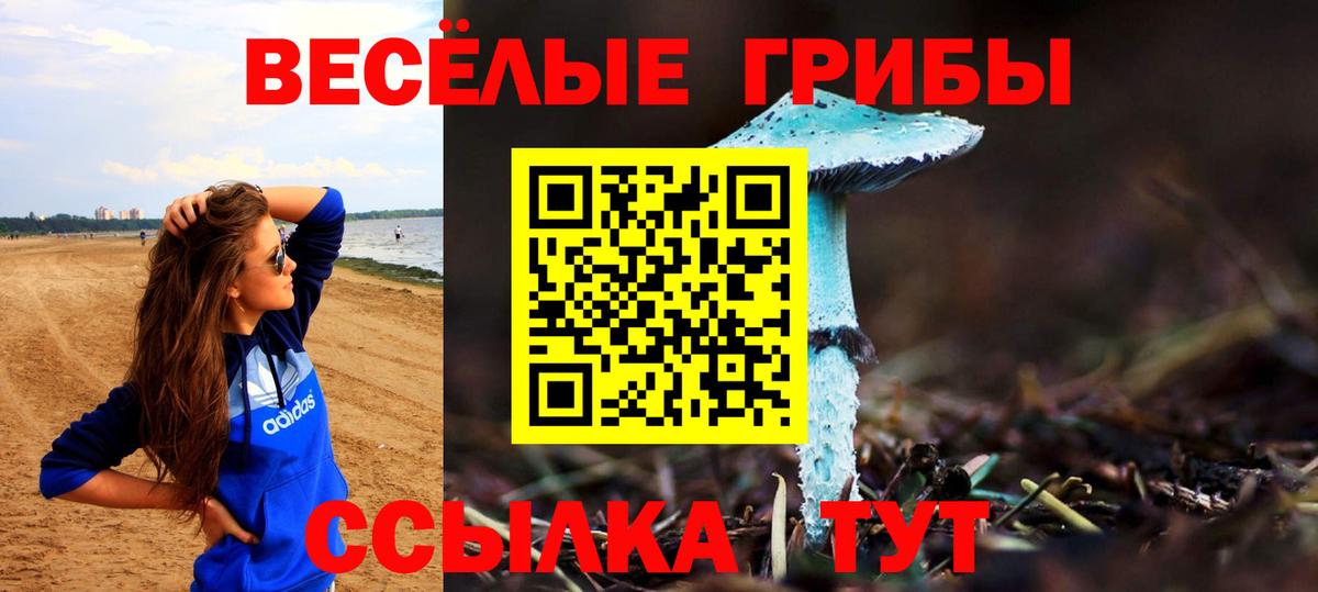 Галлюциногенные грибы мухоморы Коммунар