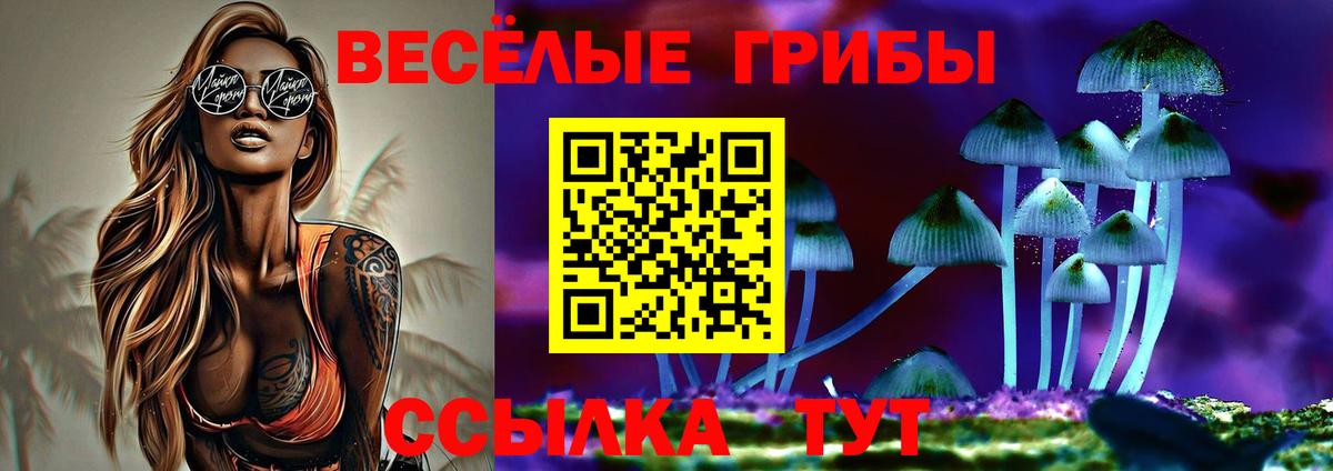 купить закладку  Вход с VPN  Коммунар  Псилоцибиновые грибы Psilocybine cubensis 